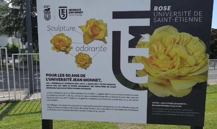Crédits photo Université Jean Monnet