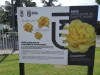Photo credit Université Jean Monnet